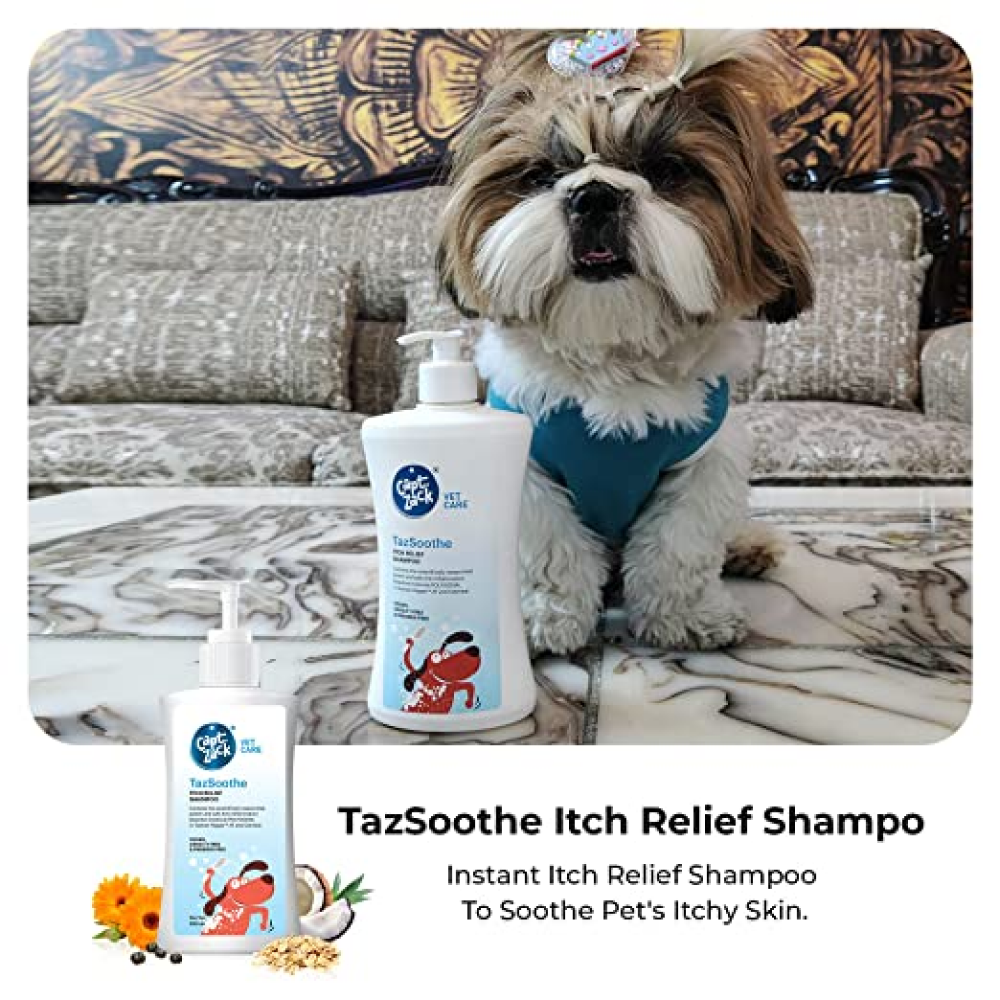 Captain Zack TazSoothe Itch Relief Shampoo for Dogs