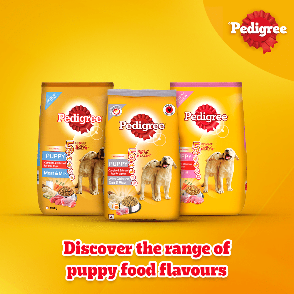 Pedigree Chicken, Egg and Rice Puppy Dog Dry Food