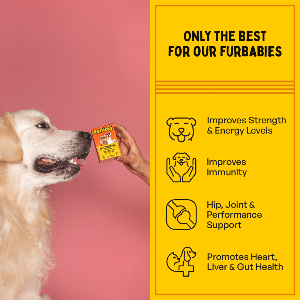 Furlicks Multivitamin & Gut Health Supplement Combo for Cats and Dogs Both-Health & Wellness Furlicks