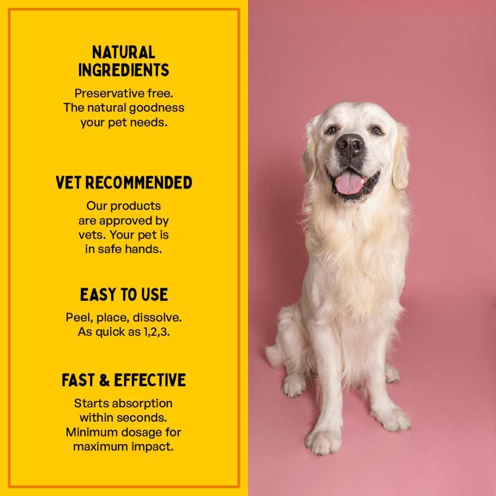 Furlicks Multivitamin & Gut Health Supplement Combo for Cats and Dogs Both-Health & Wellness Furlicks