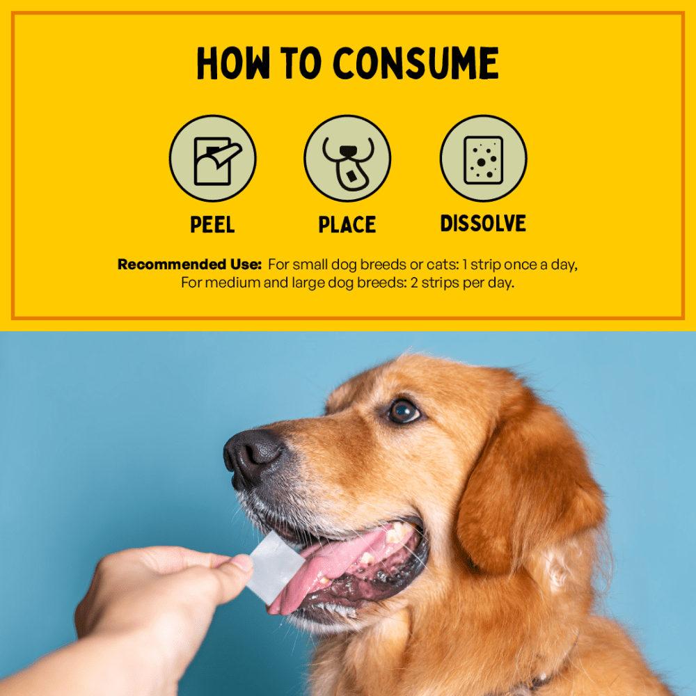Furlicks Multivitamin & Gut Health Supplement Combo for Cats and Dogs Both-Health & Wellness Furlicks