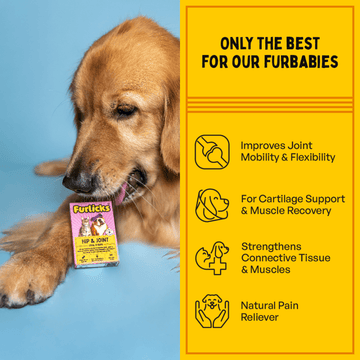 Furlicks Hip & Joint Supplement for Cats and Dogs