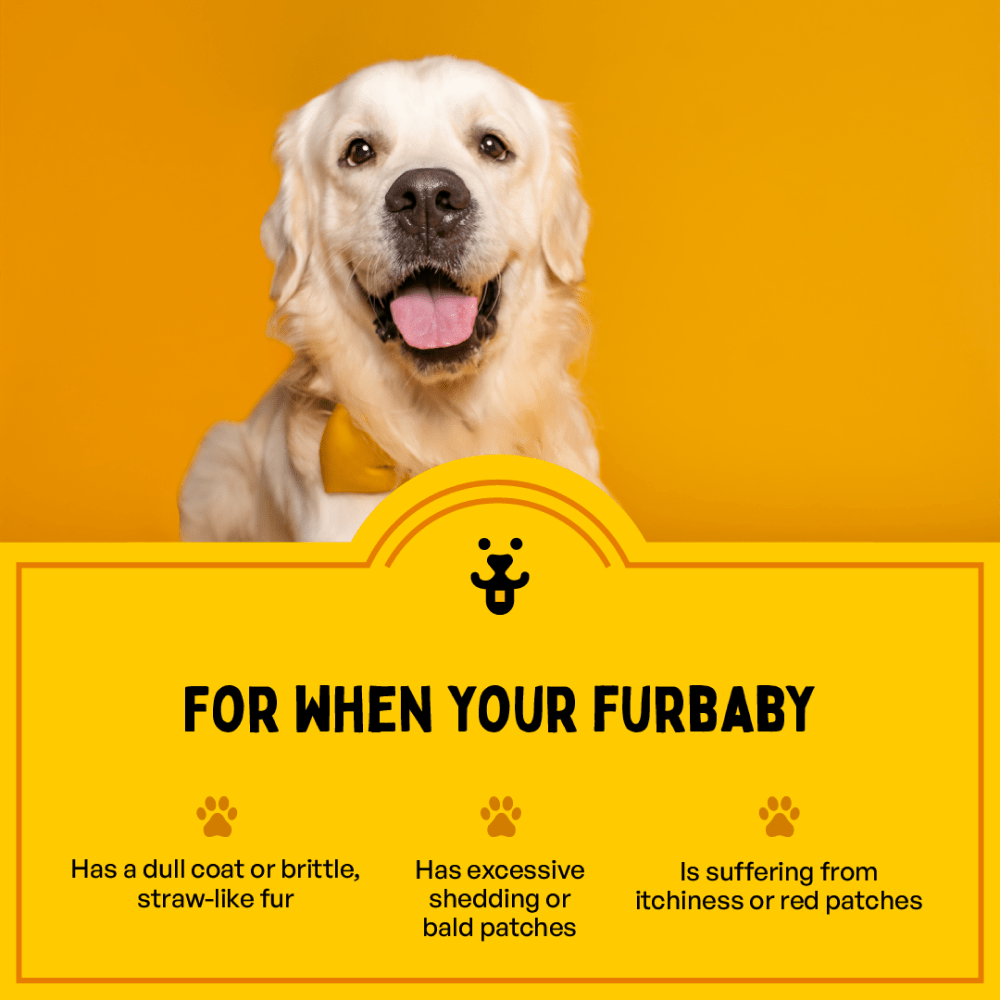 Furlicks Skin & Coat Supplement and Himalaya Furglow Skin and Coat Tonic Combo for Dogs and Cats Both-Health & Wellness Exclusive Combo