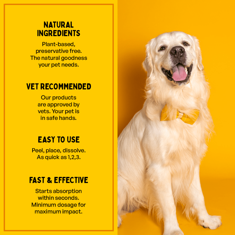 Furlicks Skin & Coat Supplement and Himalaya Furglow Skin and Coat Tonic Combo for Dogs and Cats Both-Health & Wellness Exclusive Combo