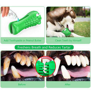 Pawsindia Croc Dental Toy for Dogs