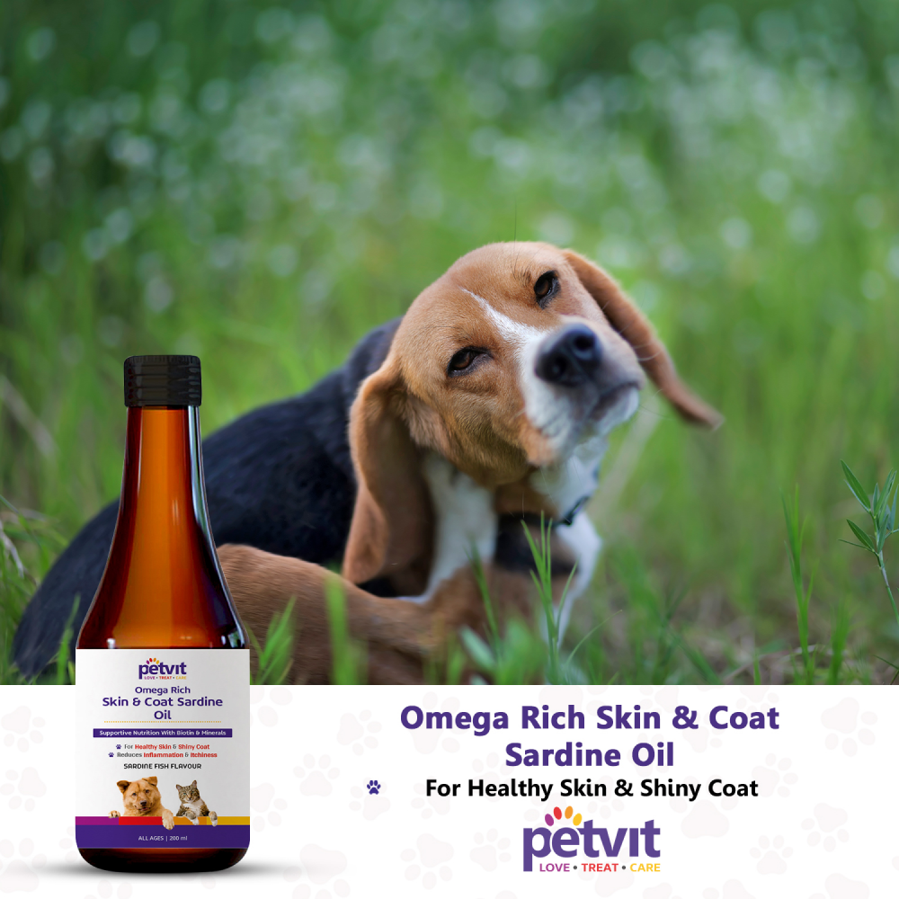 Petvit Omega Rich Skin & Coat Sardine Oil for Dogs and Cats