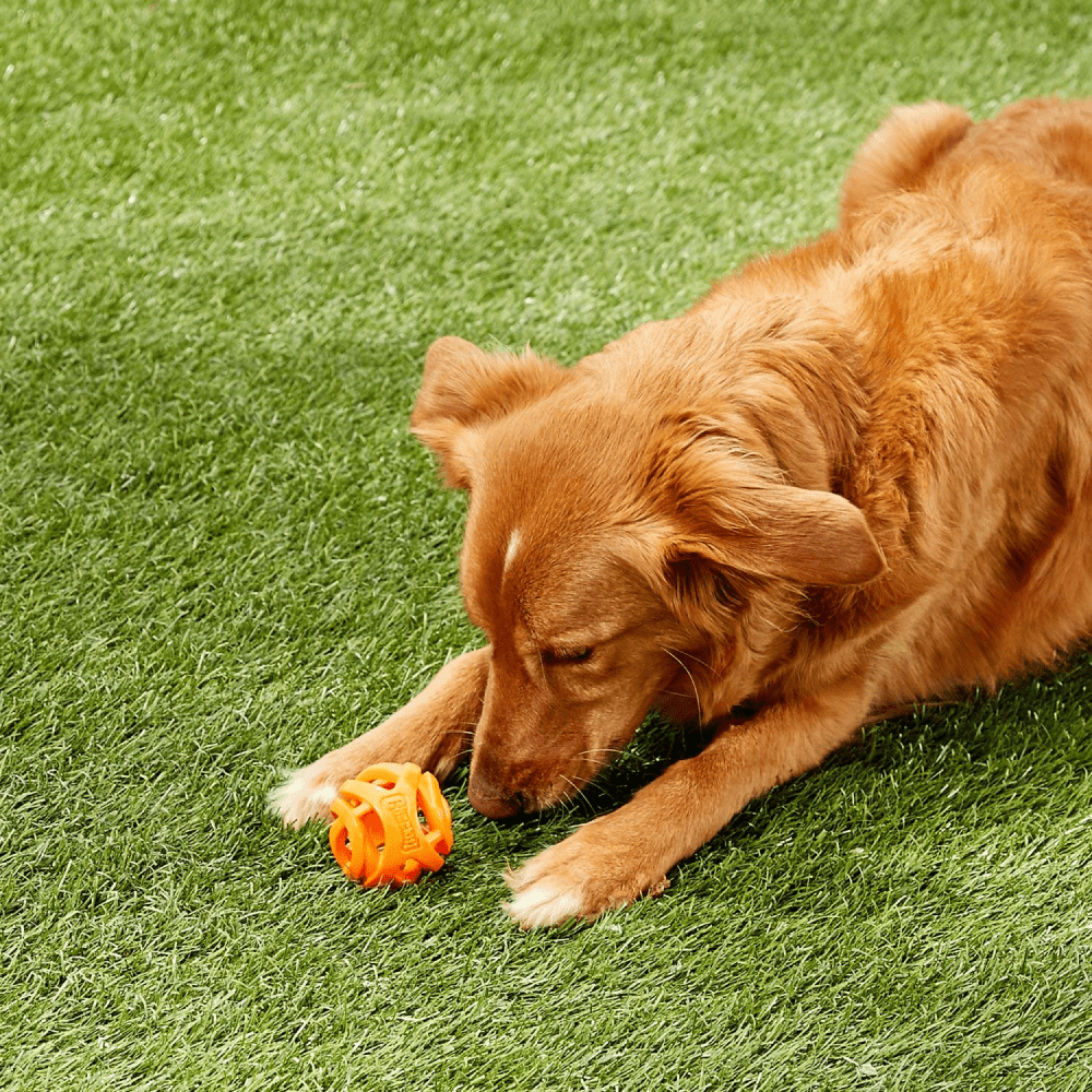 Chuckit! Breath Right Fetch Toy for Dogs