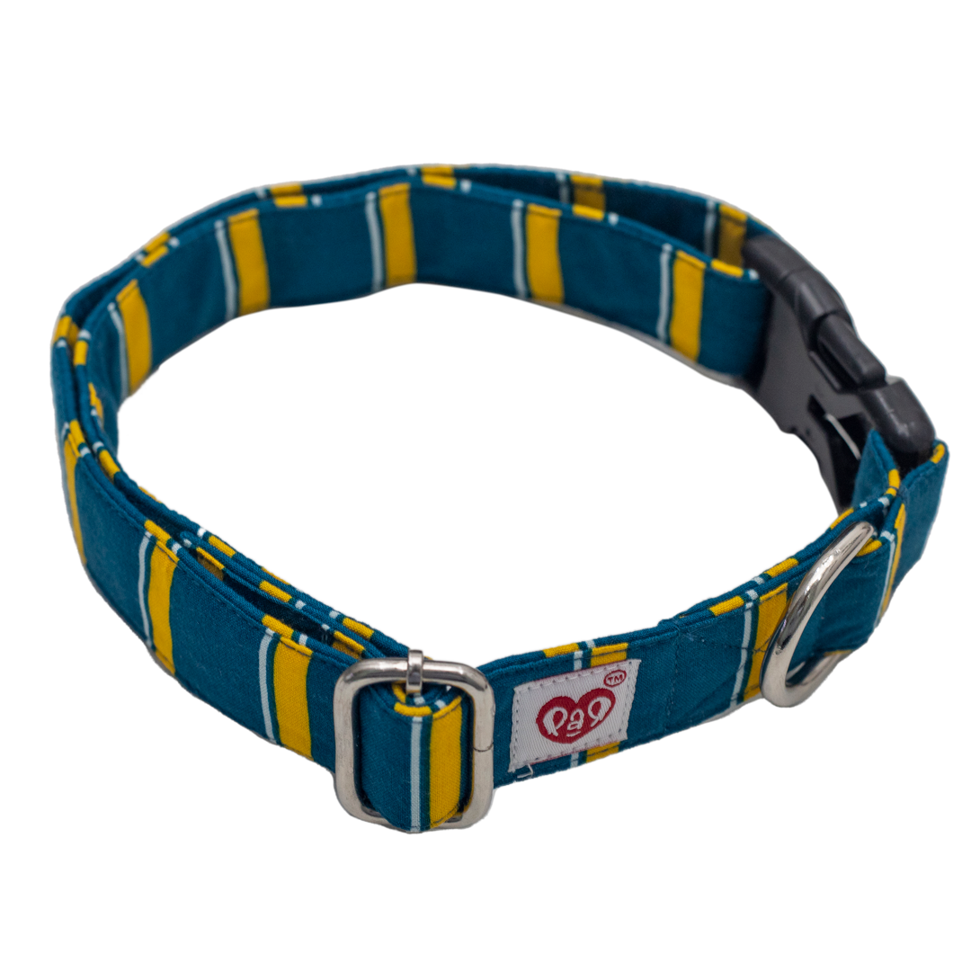 Pet And Parents Turquoise Collar and Leash for Dogs Combo
