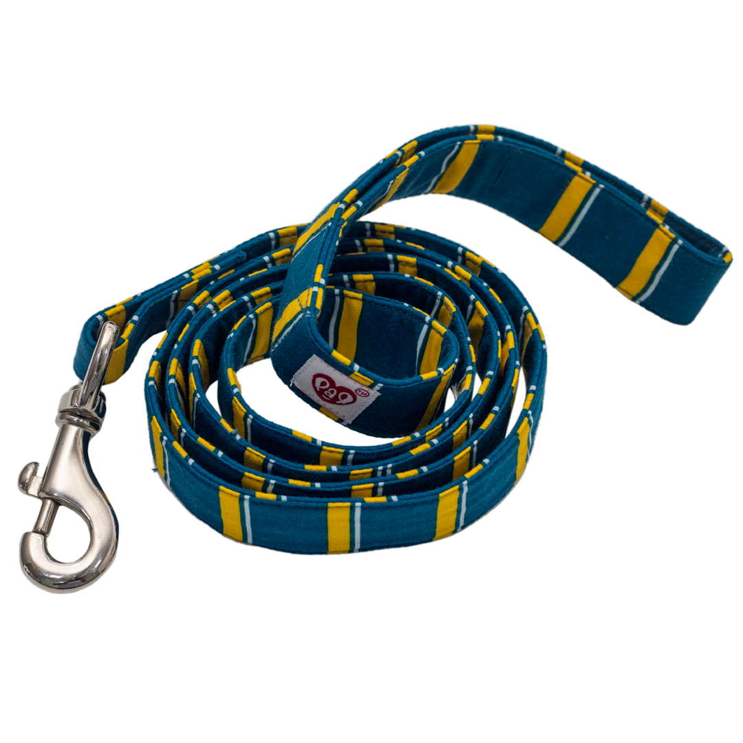 Pet And Parents Turquoise Collar and Leash for Dogs Combo