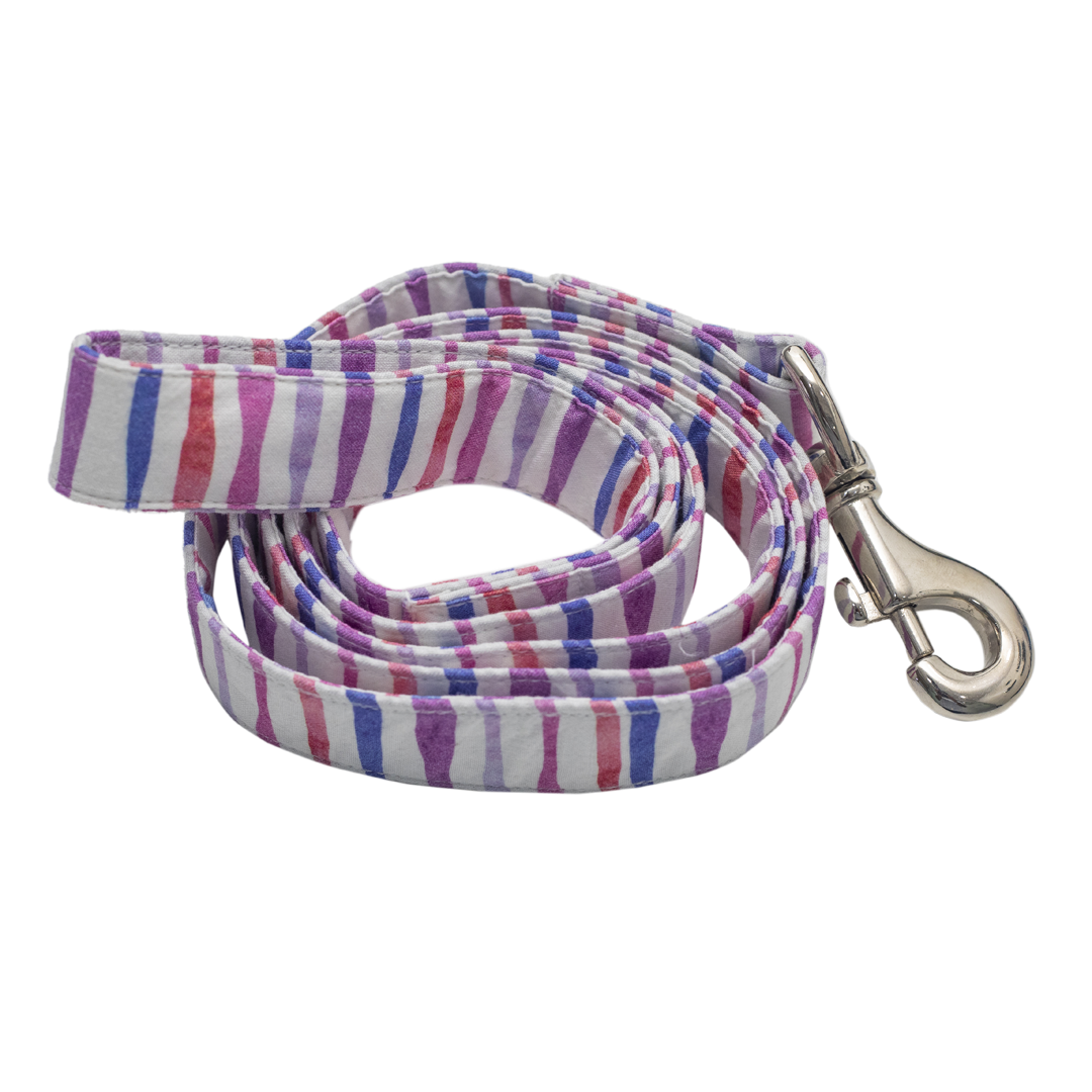 Pet And Parents Multi Stripe Leash for Dogs