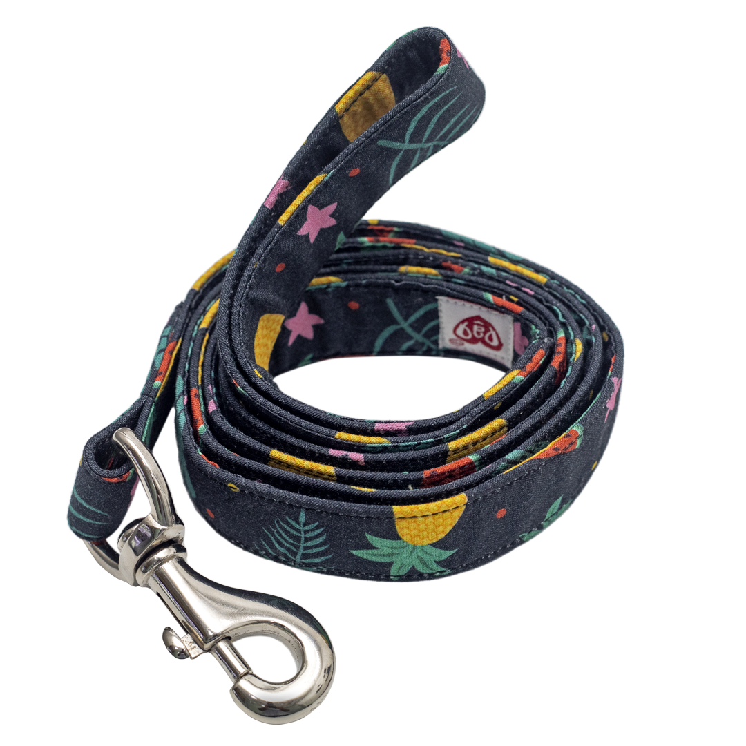 Pet And Parents Fresh Fruit Leash for Dogs