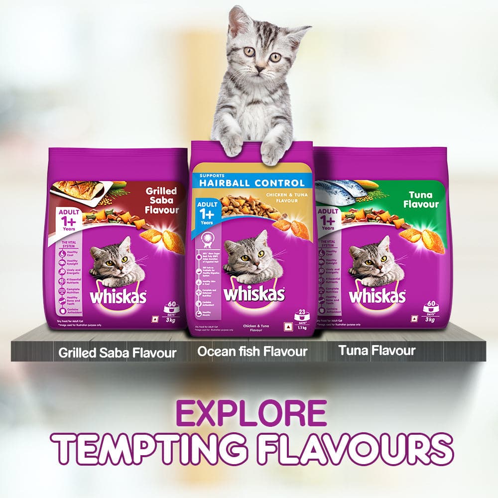 Whiskas Dry Food for Adult Cats (1+ Years), For Healthy Skin & Coat