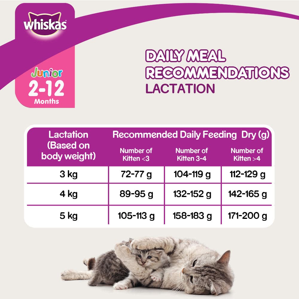 Whiskas Mackerel Flavour Dry Food for Mother and Baby Cat