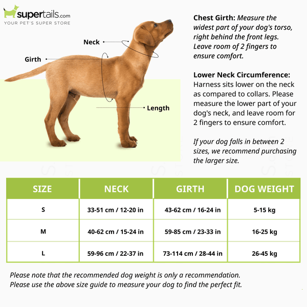 A Plus A Pets Skin Friendly Gradient Design Harness for Dogs and Cats (Pink)
