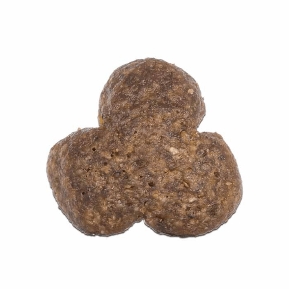 Arden grange top mini dog food
