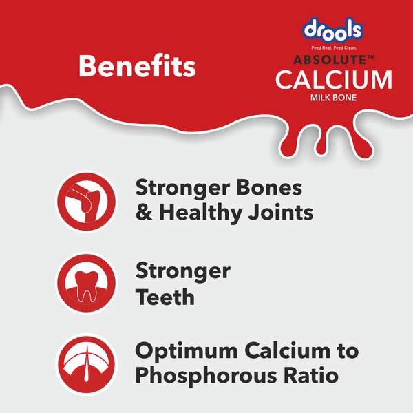 Drools Absolute Calcium Bone for Large Dogs