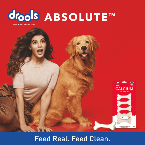 Drools Absolute Calcium Bone for Large Dogs