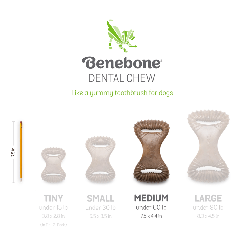 Benebone Bacon Flavored Dental Chew Toy for Dog | For Aggressive Chewers Dogs-Toys Benebone