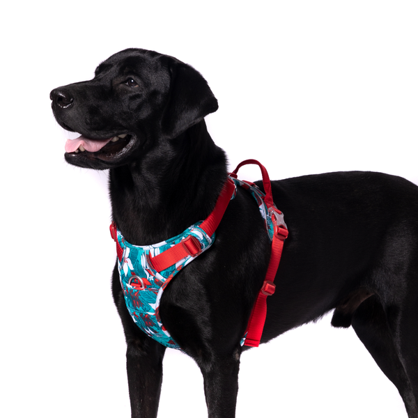 Truelove No Pull Special Edition with 3M Reflective Material Harness for Dogs (Camouflage blue)