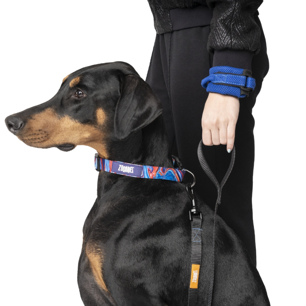 Zoomiez Hands Free Mesh Leash for Dogs & Cats (Royal Blue)