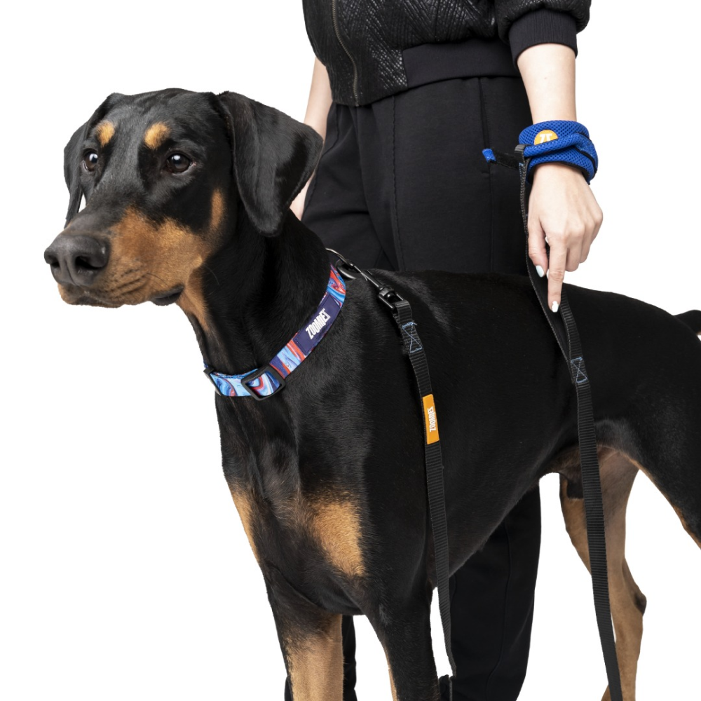 Zoomiez Hands Free Mesh Leash for Dogs & Cats (Royal Blue)