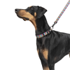 Zoomiez Bolt Printed Leash for Dogs