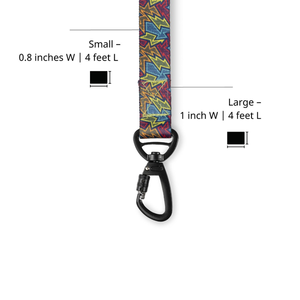Zoomiez Bolt Printed Leash for Dogs