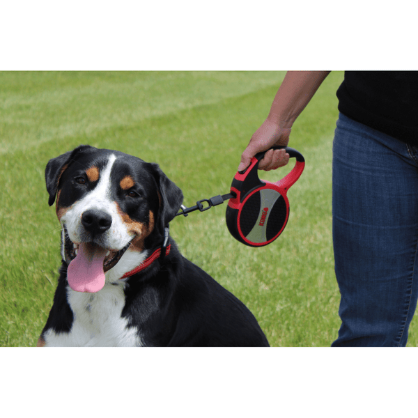 Kong Explore Retractable Leash for Dogs and Cats (Red)