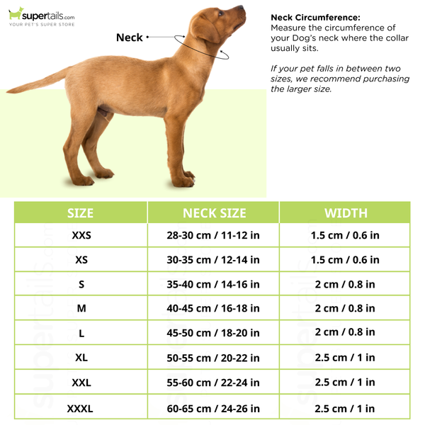 Truelove Classic Collar for Dogs (Grey)