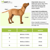 Basil Printed Adjustable Harness for Dogs (Green) Dogs-Collar, Leashes, harnesses Basil