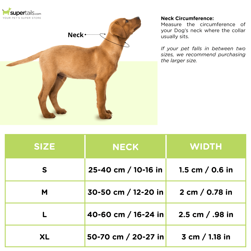 Basil Adjustable Padded Collar for Dogs (Blue/Yellow) Dogs-Collar, Leashes, harnesses Basil