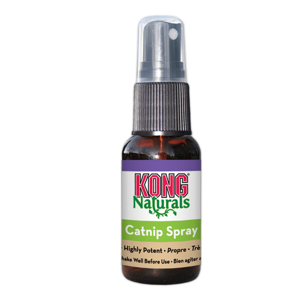 Kong Catnip Spray for Cats Cats-Toys Kong