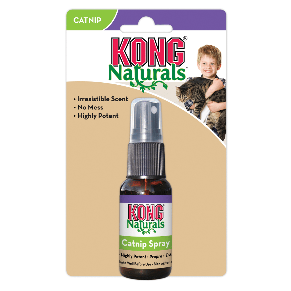 Kong Catnip Spray for Cats Cats-Toys Kong