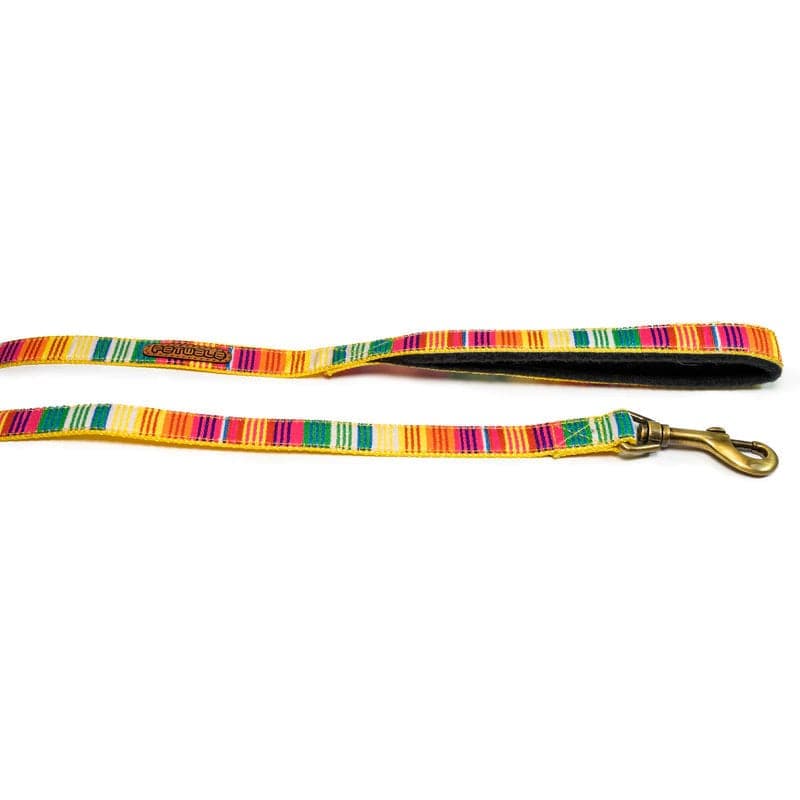 PetWale Nylon Dog Leash (Colourful Stripes)