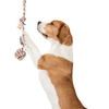 Fofos Flossy Rope Toy with Ball for Dogs