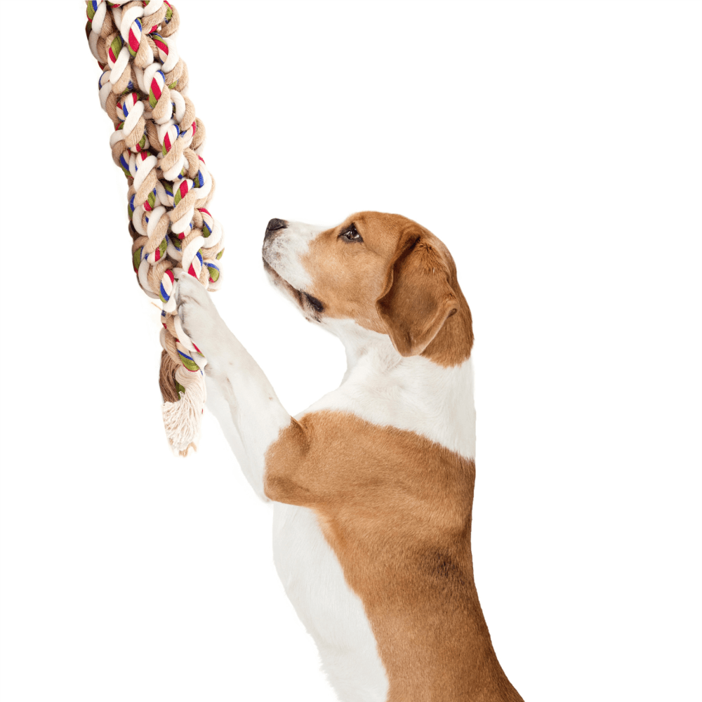 Fofos Flossy Rope Toy Braided for Dogs
