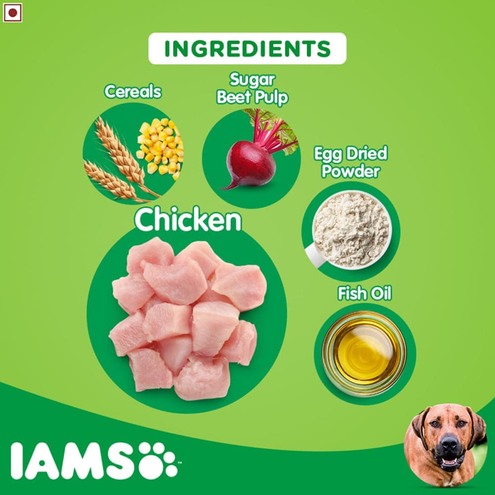 IAMS Proactive Health Adult Large Breed Dog Dry Food