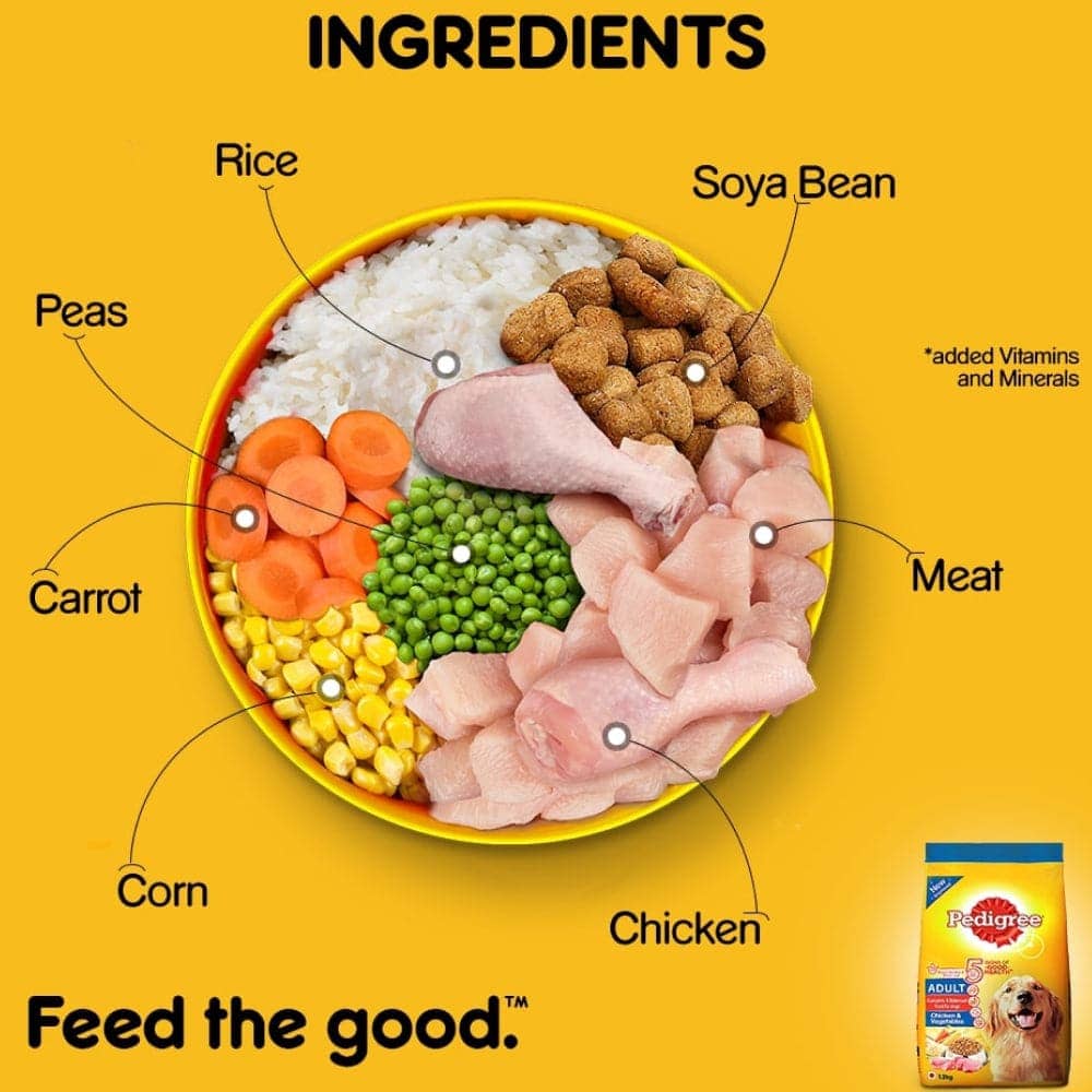 Pedigree Chicken & Liver Chunks in Gravy Pouch Adult Wet Food and Chicken & Vegetables Adult Dog Dry Food Combo