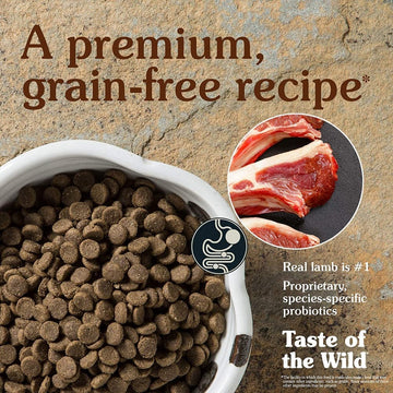 Taste of the Wild Sierra Mountain Canine Recipe with Roasted Lamb Dog Dry Food | Grain Free Formula