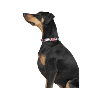 Zoomiez Drip Printed Collar for Dogs