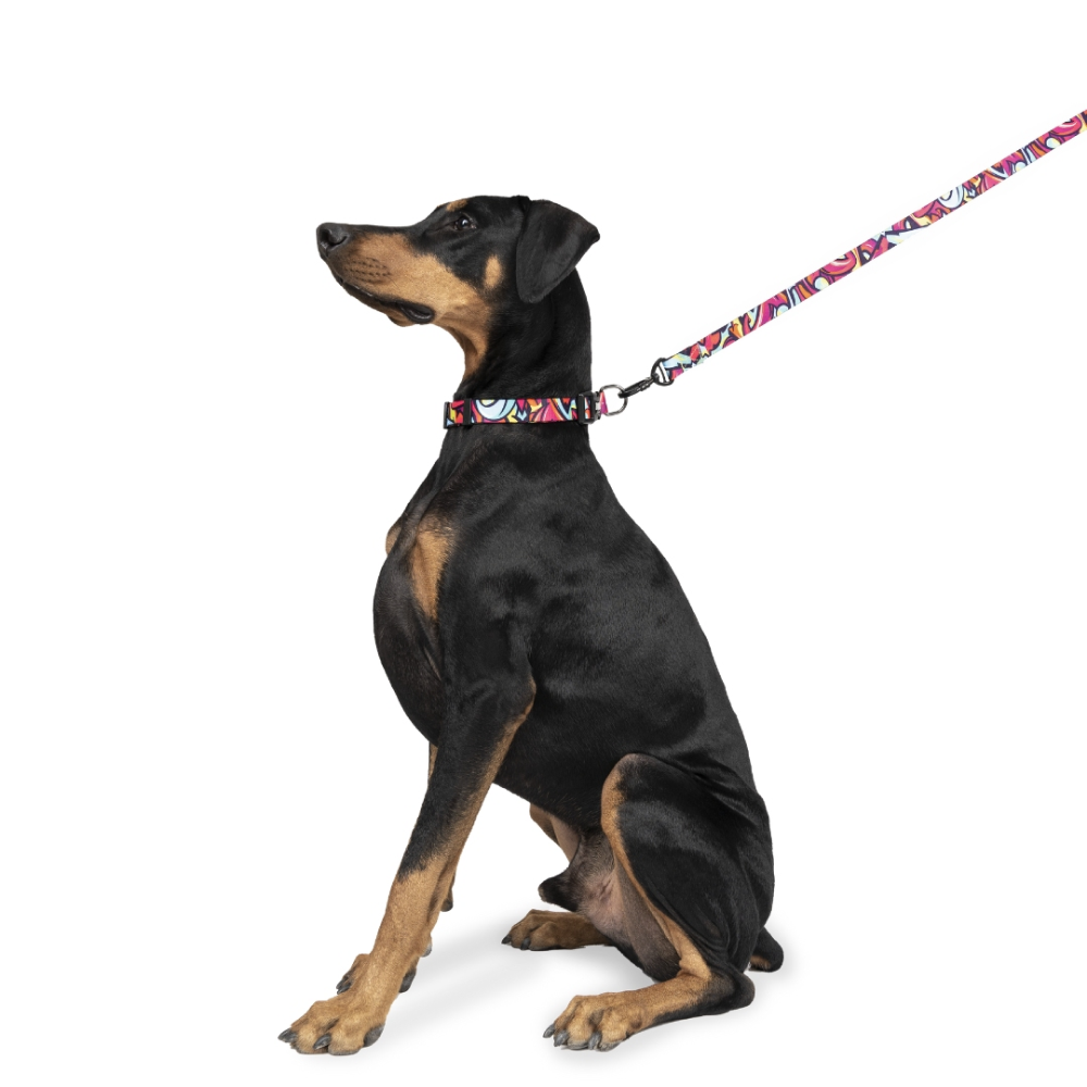 Zoomiez Drip Printed Collar for Dogs