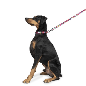 Zoomiez Drip Printed Collar for Dogs