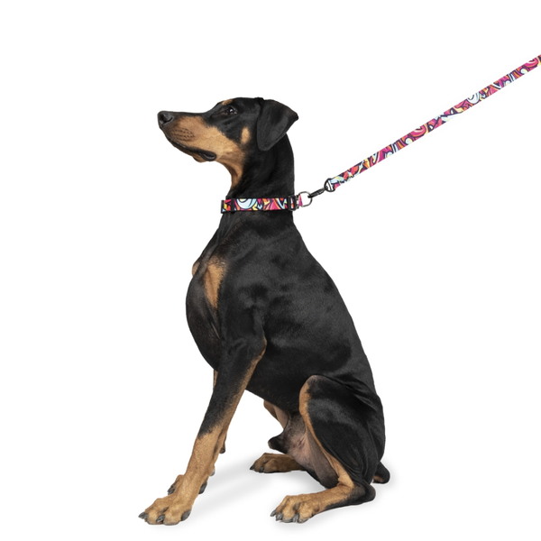Zoomiez Drip Printed Collar for Dogs
