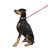 Zoomiez Drip Printed Collar for Dogs Dogs-Collar, Leashes, harnesses Zoomiez