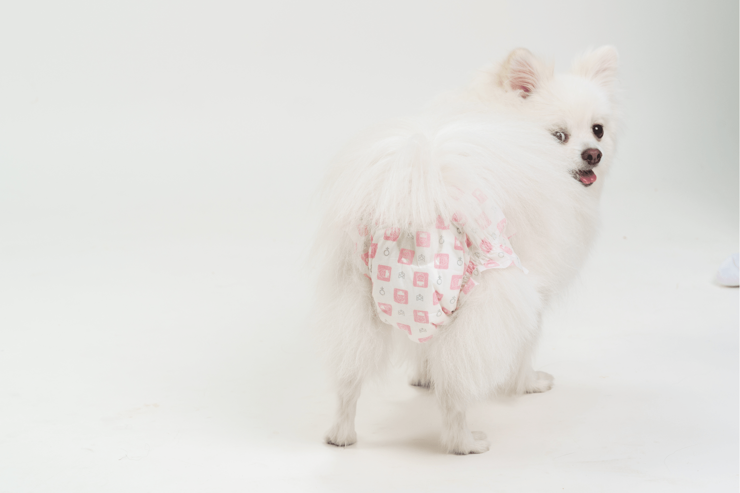 Fofos Diaper for Female Dogs (70x90cm) Dogs-Health & Wellness Barkbutler