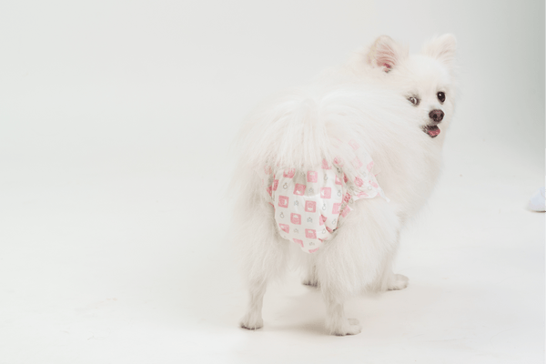 Barkbutler x Fofos Diaper for Female Dogs (25x33cm)
