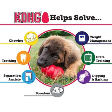 Kong Extreme Toy for Dogs (Black) | For Aggressive Chewers