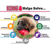 Kong Puppy Toy for Dogs