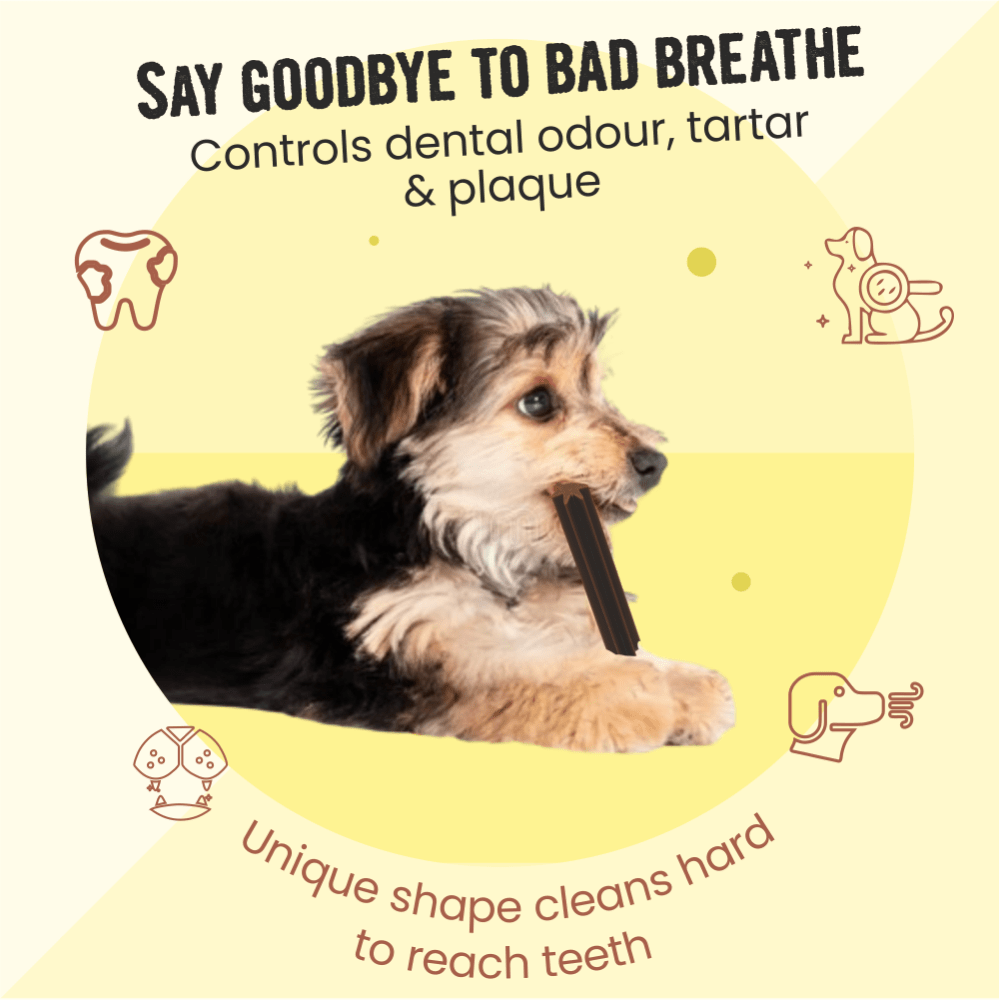 Good barks top dental stick