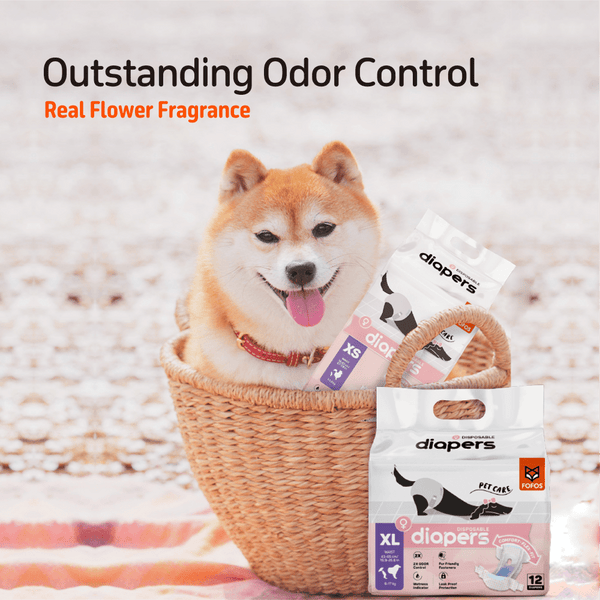 Barkbutler x Fofos Diaper for Female Dogs (25x33cm)